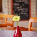 Frühstückspension Diofa Panzio
