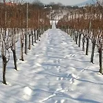 Diofa Panzio Frühstückspension 4*