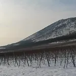 Diofa Panzio Villány