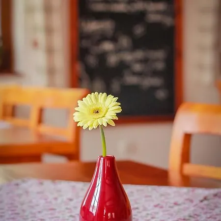 Bed & Breakfast Diofa Panzio