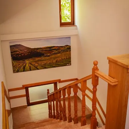Diofa Panzio Bed & Breakfast