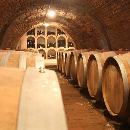 Diofa Panzio Villány