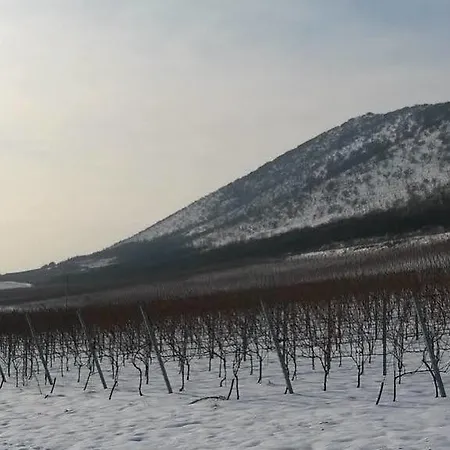 Diofa Panzio Villány