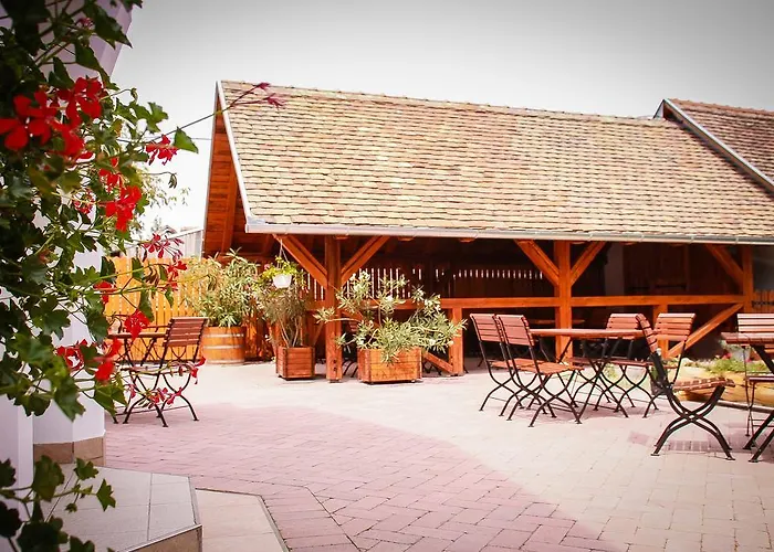 Diofa Panzio 4* Villany