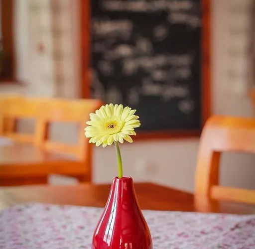 Bed & Breakfast Diofa Panzio