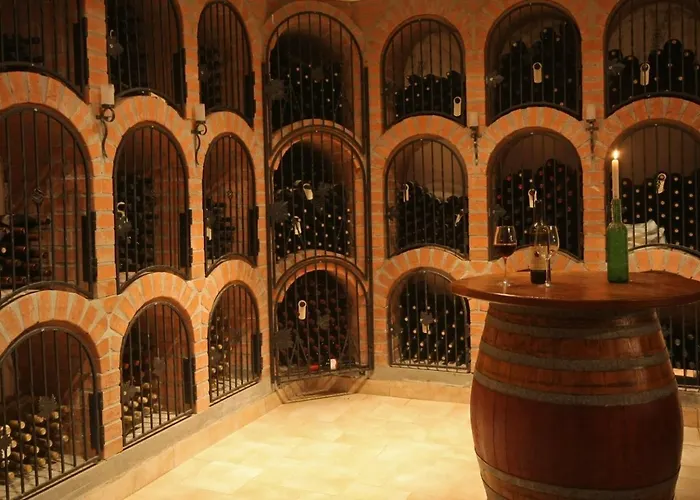 Diofa Panzio 4* Villany