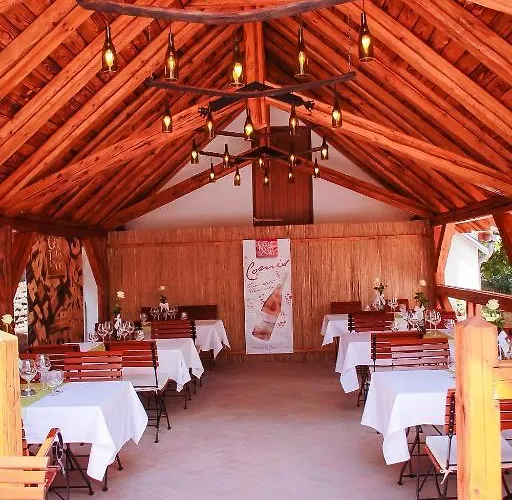 Bed & Breakfast Diofa Panzio Villany