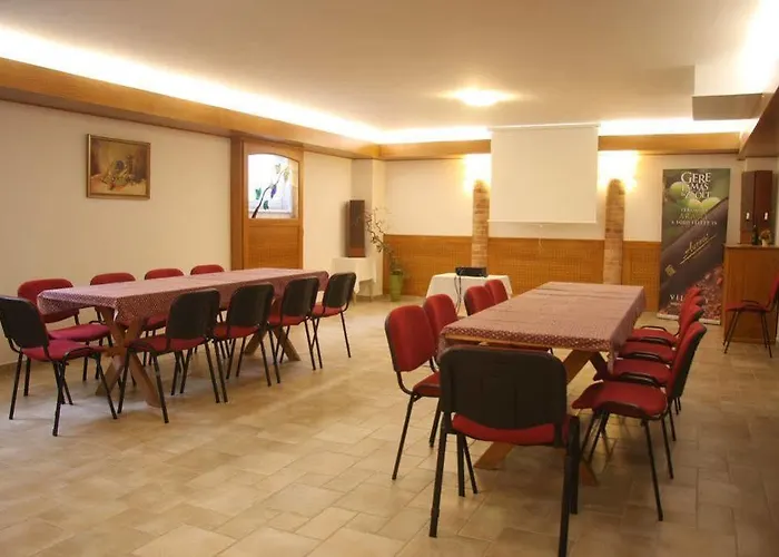 Diofa Panzio 4* Villany