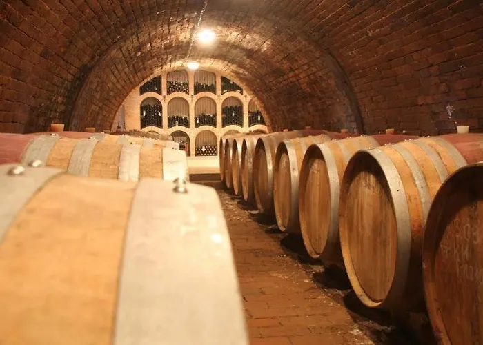 Diofa Panzio Villany