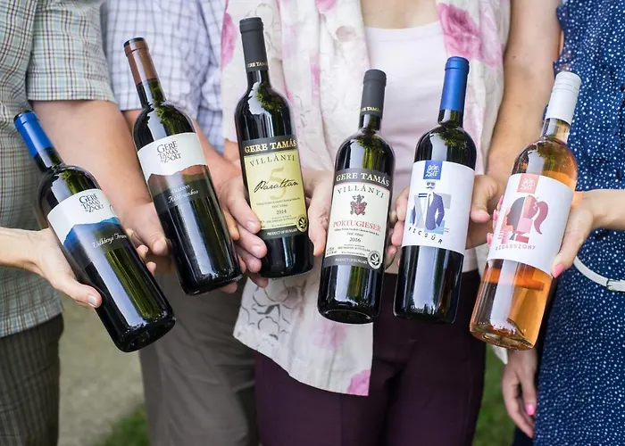 Bed & Breakfast Diofa Panzio 4*